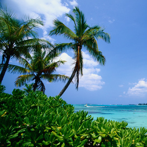 Sahra Bautista-Leung